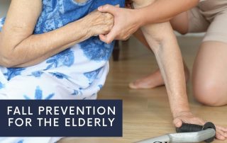 Elderly Fall Prevention