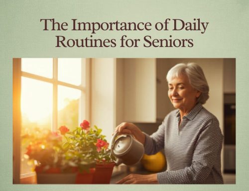 The Importance of Daily Routines for Seniors